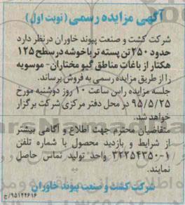 مزایده , مزایده حدود 250 تن پسته تر با خوشه در سطح 125 هکتار از باغات مناطق نوبت اول