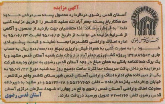 آگهی مزایده , مزایده فروش محصول پسته سردرختی حدود 50 هکتار