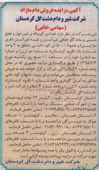 مزایده , مزایده تعدادی گوساله نر شیرخوار و قطع شیر و ...