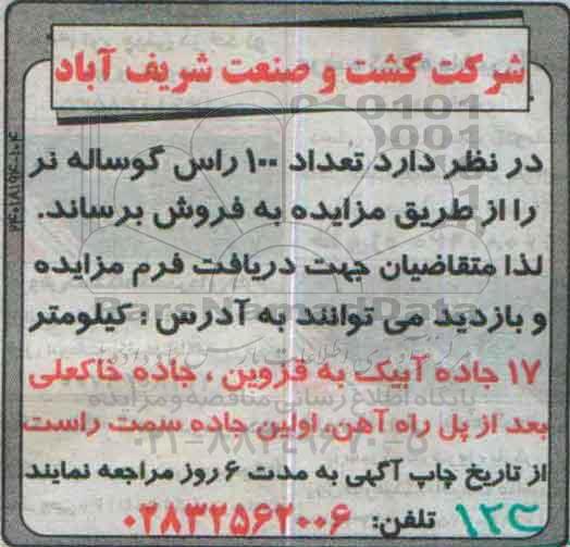 مزایده, مزایده فروش تعداد 100 راس گوساله نر