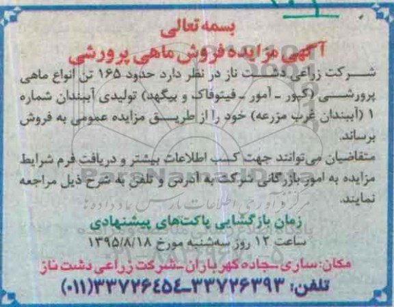 آگهی مزایده,مزایده فروش حدود 165 تن ماهی پرورشی