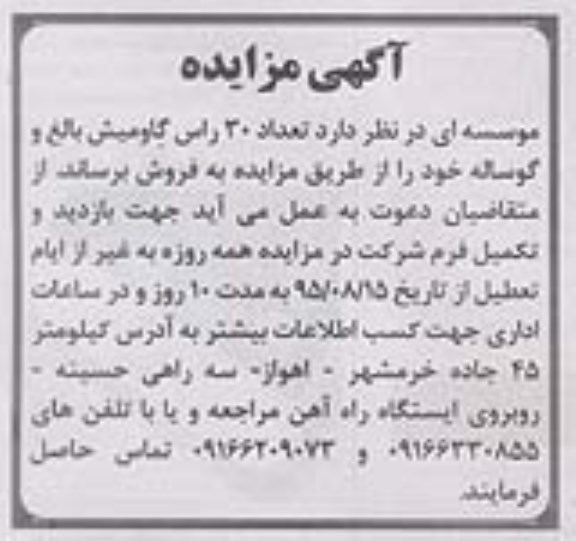 مزایده , مزایده تعداد 30 راس گاومیش بالغ و گوساله