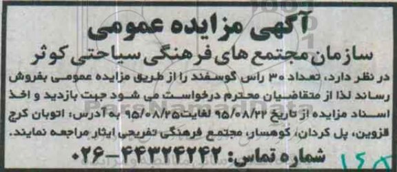 آگهی مزایده عمومی , مزایده فروش تعداد 30 راس گوسفند