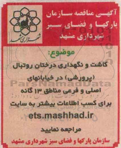 مناقصه ، مناقصه کاشت و نگهداری درختان روتبال