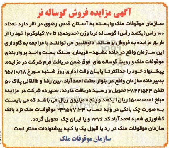 آگهی مزایده، مزایده فروش تعداد 100 راس (یکصد راس ) گوساله نر