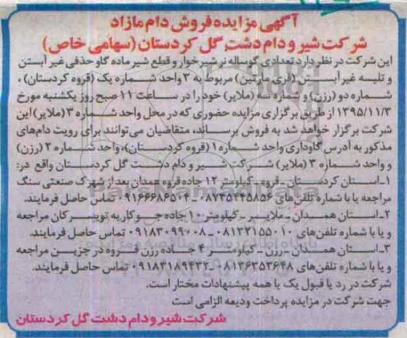 آگهی مزایده , مزایده مزایده تعدادی گوساله نر و ماده