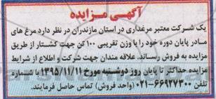 آگهی مزایده , مزایده مرغ های مادر پایان دوره