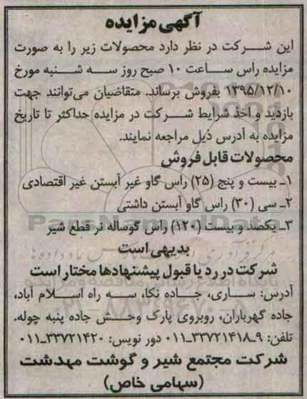مزایده بیست و پنج 25 راس گاو غیرآبستن غیر اقتصادی ...
