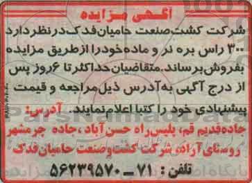 آگهی مزایده ، مزایده 300 راس بره نر و ماده
