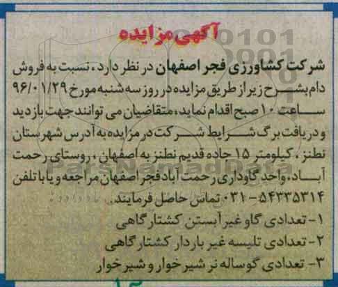 آگهی مزایده,مزایده فروش دام
