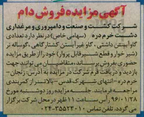 آگهی مزایده, مزایده تعدادی گاو آبستن داشتی