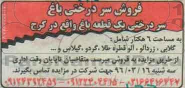 مزایده , مزایده فروش سردرختی یک باغ به مساحت 6 هکتار 96.3.10