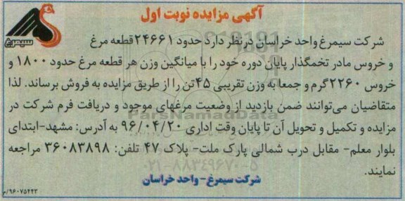 مزایده فروش حدود 24661 قطعه مرغ و خروس مادر تخمگذار