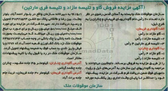 آگهی مزایده, مزایده فروش تعداد 20 راس دام گاوداریهای فریمان