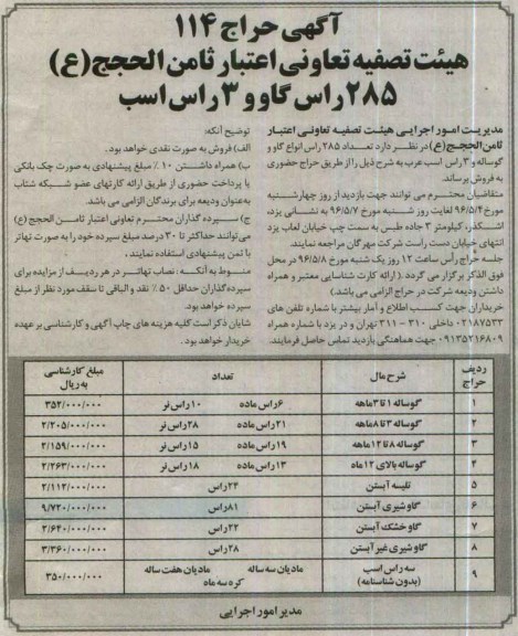 مزایده ، حراج 285 راس گاو و 3 راس اسب