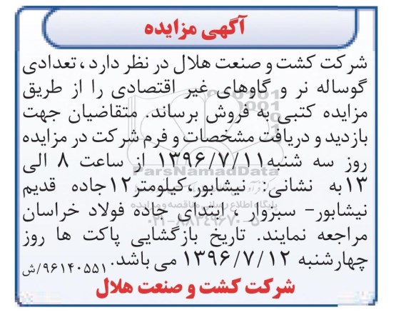 آگهی مزایده , مزایده فروش تعدادی گوساله نر و گاوهای غیر اقتصادی