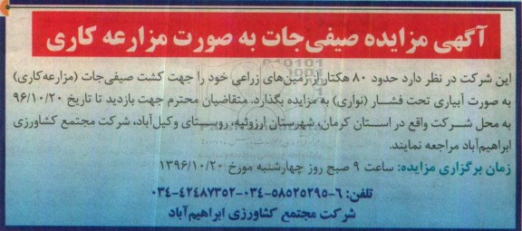 مزایده ,صیفی جات به صورت..