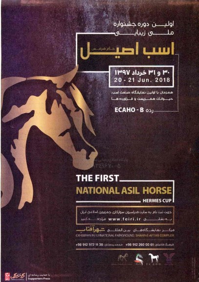 اولین دوره جشنواره ملی زیبایی اسب اصیل
