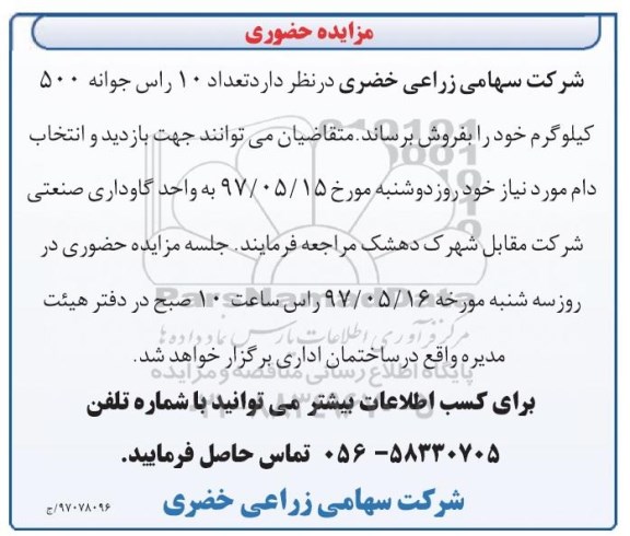 آگهی مزایده حضوری, مزایده تعداد 10 راس جوانه 500 کیلوگرم