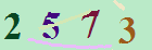 کد امنیتی