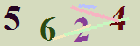 کد امنیتی