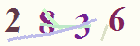 کد امنیتی