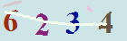 کد امنیتی