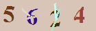 کد امنیتی