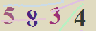 کد امنیتی