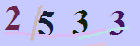 کد امنیتی