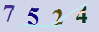 کد امنیتی