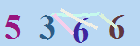کد امنیتی