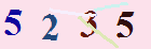 کد امنیتی