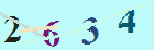 کد امنیتی