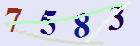 کد امنیتی