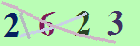 کد امنیتی