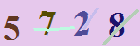 کد امنیتی