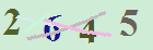کد امنیتی