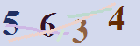 کد امنیتی