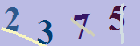 کد امنیتی
