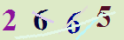 کد امنیتی