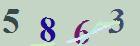 کد امنیتی