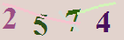 کد امنیتی