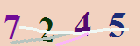 کد امنیتی