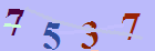 کد امنیتی