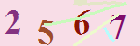 کد امنیتی