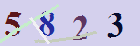کد امنیتی