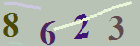 کد امنیتی