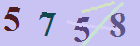 کد امنیتی