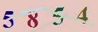 کد امنیتی